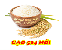 Gạo 504 mới 