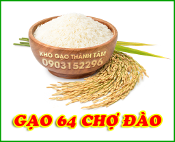 Gạo 64 Chợ Đào